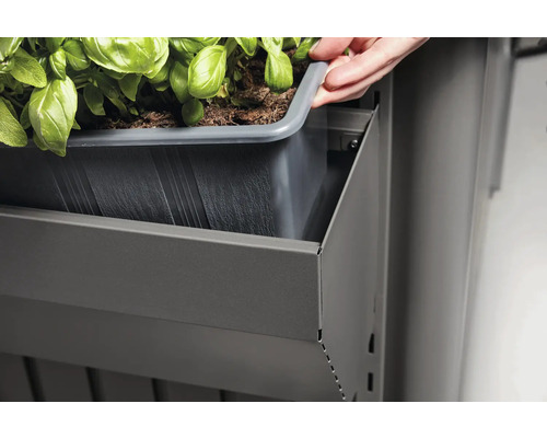 Detailní záběr regálu s vložkou pro rostliny s čerstvými bylinkami