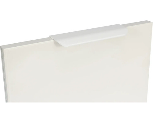 Dvířka skříňky s úchytkou