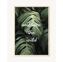 Rámovaný plakát s nápisem Embrace the Wild na pozadí listů monstery