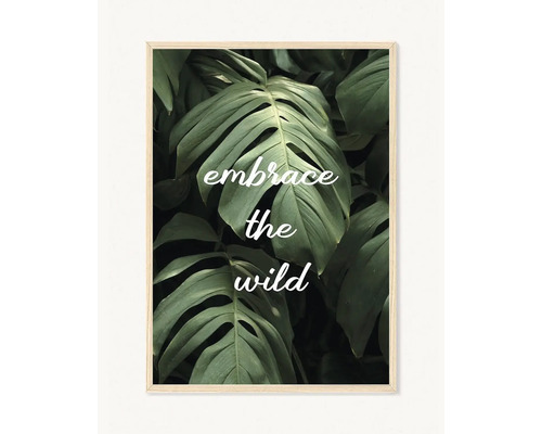 Rámovaný plakát s nápisem Embrace the Wild na pozadí listů monstery