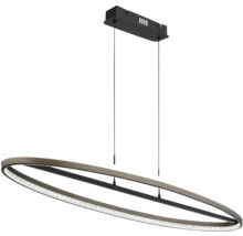 Oválné závěsné svítidlo s LED osvětlením