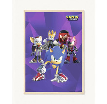 Zarámovaný plakát Sonic Prime s postavami