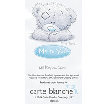 Ilustrace medvídka Me to You