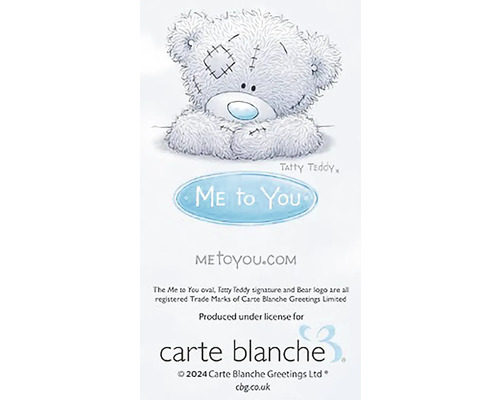 Ilustrace medvídka Me to You