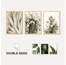 Nástěnné obrazy s rostlinnými motivy v rámu, oboustranné