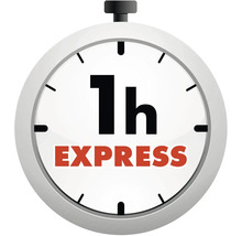 Symbol pro expresní doručení do jedné hodiny