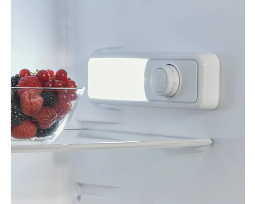 Vnitřek chladničky s mísou bobulí a regulátorem teploty