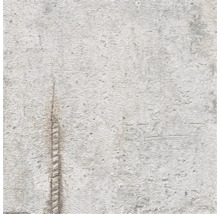 Detail strukturované zdi
