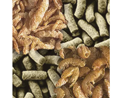 Detailní záběr krmiva pro ryby, které se skládá ze sušených blešivců a krmných pelet