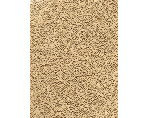 Detail suchého droždí