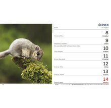 Kalendářní list červen 2026 s plchem velkým