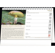 List kalendáře s obrázkem houby Butyriboletus subappendiculatus