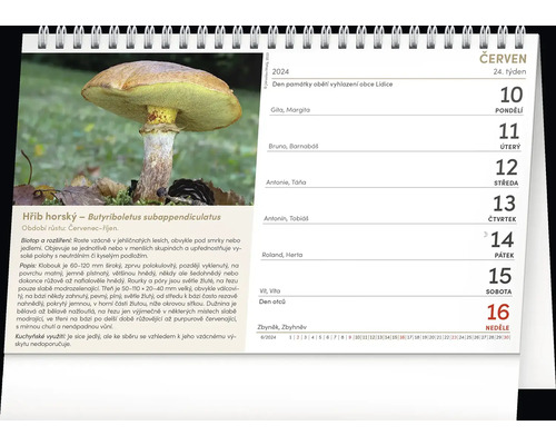 List kalendáře s obrázkem houby Butyriboletus subappendiculatus