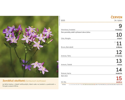 Kalendářní list červen s obrázkem lučních květin