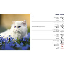Nástěnný kalendář s bílou kočkou mezi modrými květinami a měsíčním přehledem na červen 2026