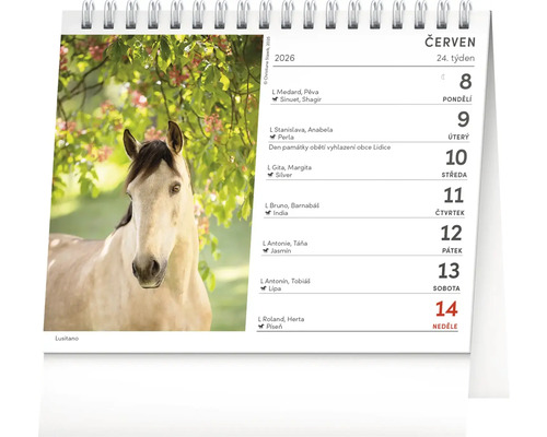 Koně Kalendář s obrázkem lusitánského koně