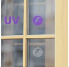 Okno se symbolem ochrany proti UV záření a symbolem ochrany ptactva