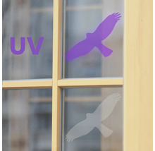 Okna s UV ochrannou fólií ve tvaru ptáka