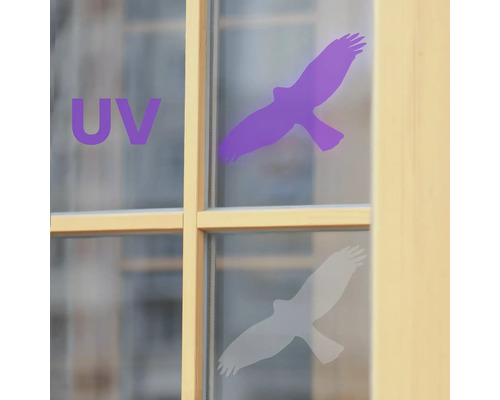 Okna s UV ochrannou fólií ve tvaru ptáka