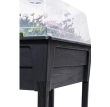 Zvýšený záhon s průhledným víkem a rostlinami