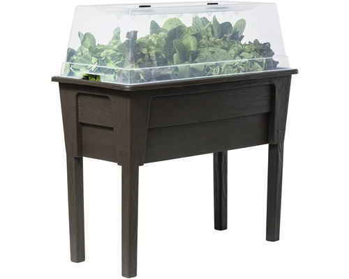 Zvýšený záhon s průhledným krytem a rostlinami salátu