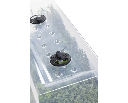 Pařeniště s větráním pro pěstování rostlin