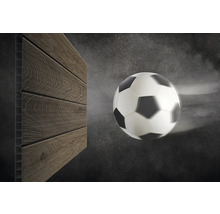 Odolnost profilového dřeva proti nárazu demonstrovaná fotbalovým míčem