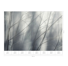 Fototapeta s větvemi stromů a rozměry