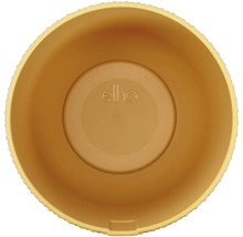 Žlutý plastový květináč shora