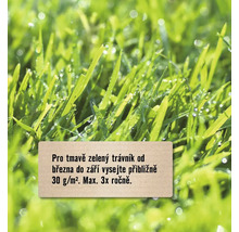 Detailní pohled na svěží zelený trávník s pokyny pro péči