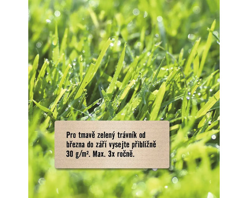 Detailní pohled na svěží zelený trávník s pokyny pro péči