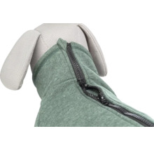 Zelená psí bunda s detailem zipu