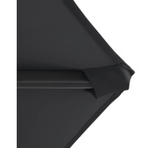 Detailní pohled na černý slunečník