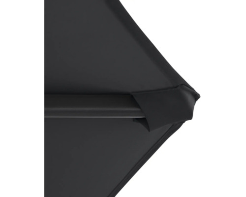 Detailní pohled na černý slunečník