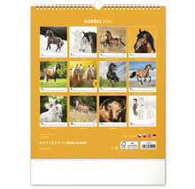 Nástěnný kalendář s koňmi na rok 2026
