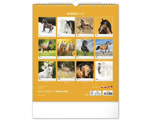 Nástěnný kalendář s koňmi na rok 2026