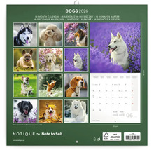 Kalendář psů 2026 s 16měsíčním přehledem