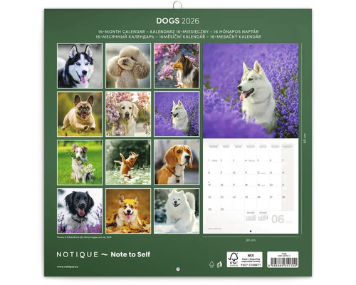 Kalendář psů 2026 s 16měsíčním přehledem