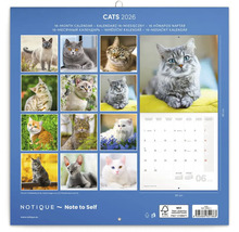 Kalendář s kočkami 2026 s 16měsíčním přehledem