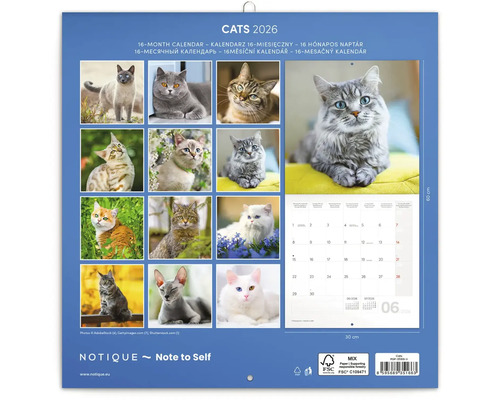 Kalendář s kočkami 2026 s 16měsíčním přehledem