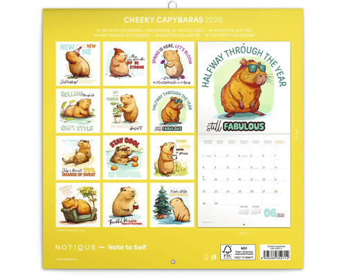 Kalendář Cheeky Capybaras 2026, 16měsíční kalendář s ilustracemi kapybar s motty