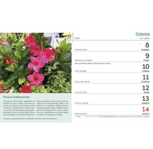 List kalendáře s popínavou rostlinou v červnu