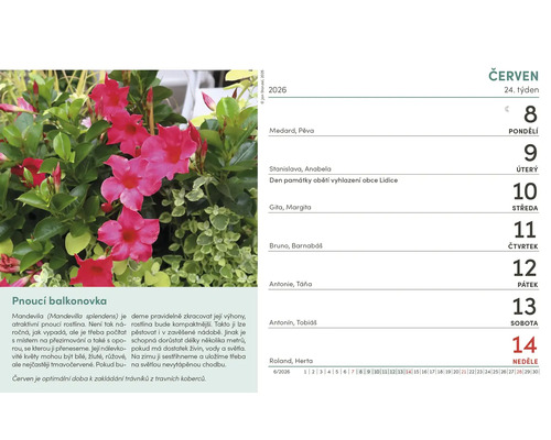 List kalendáře s popínavou rostlinou v červnu