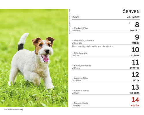 List kalendáře červen 2026 s foxteriérem