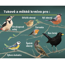 Obrázek různých druhů ptáků: Strakapoud velký, střízlík obecný, hýl obecný, červenka obecná, kos černý, špaček obecný a sýkora koňadra