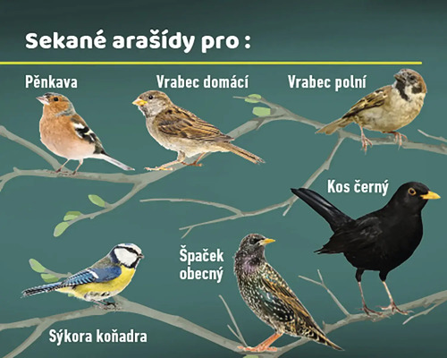 Ilustrace různých druhů ptáků, kteří jedí drcené arašídy