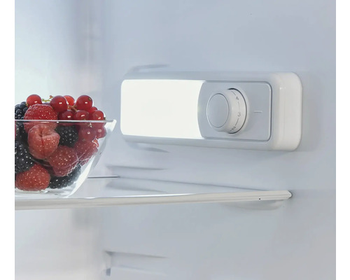 Interiér chladničky s miskou bobulí a regulátorem teploty