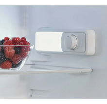 Interiér chladničky s bobulemi v misce a regulátorem teploty