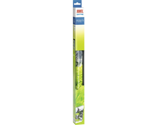 Juwel Aquarium Poster 4 Aquascape/Stone, velikost L