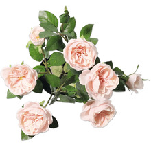 Dekorativní růže s listy v květináči